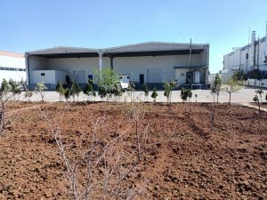 WhatsApp Image 2022-04-16 at 11.23.01 (3)